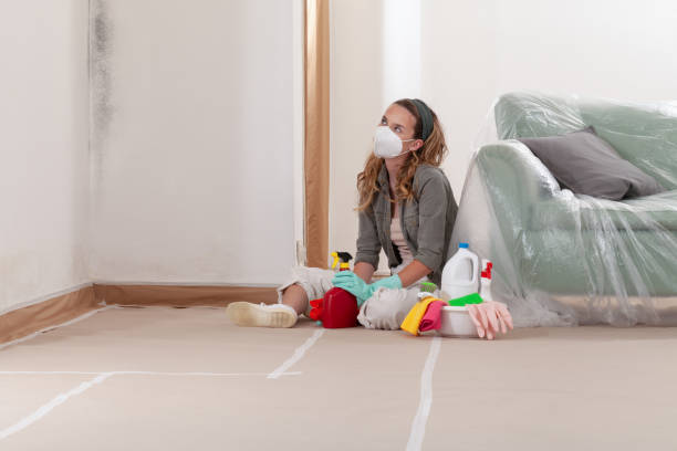 Reliable Commercial Mold Remediation contractor in Wayland, MA by 24 Hour Mold Removal